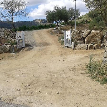 Agriturismo Locoe Oliena Dış mekan fotoğraf