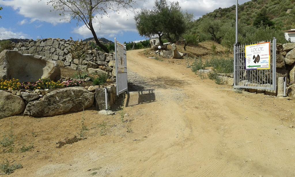 Agriturismo Locoe Oliena Dış mekan fotoğraf