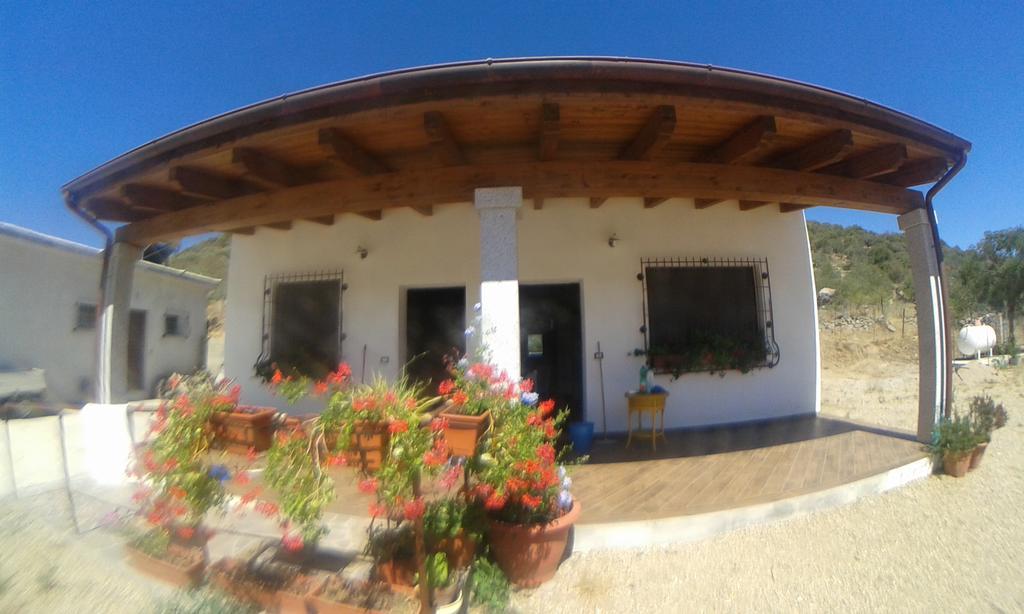 Agriturismo Locoe Oliena Dış mekan fotoğraf