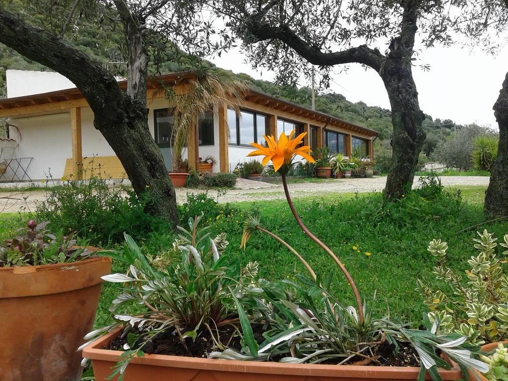 Agriturismo Locoe Oliena Dış mekan fotoğraf