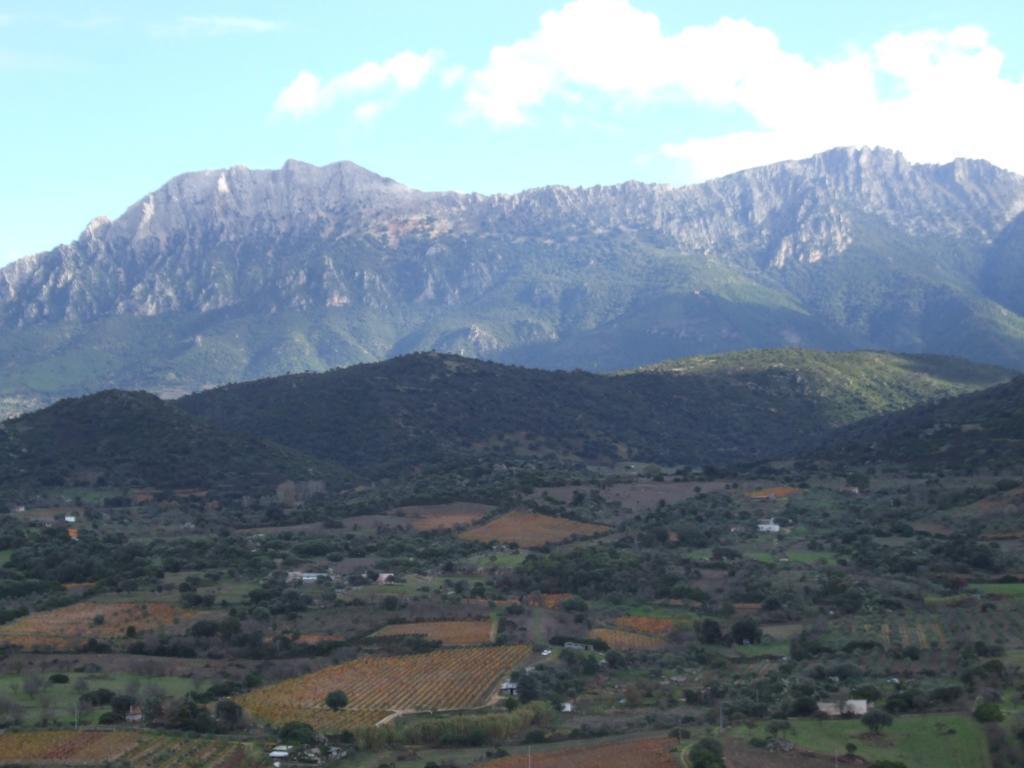 Agriturismo Locoe Oliena Dış mekan fotoğraf